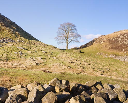 gallery2_0011_shutterstock_96912890 hadrians wall