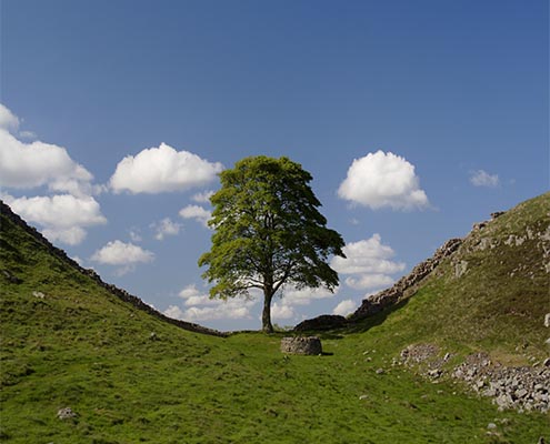 gallery2_0022_shutterstock_3400490 hadrians wall